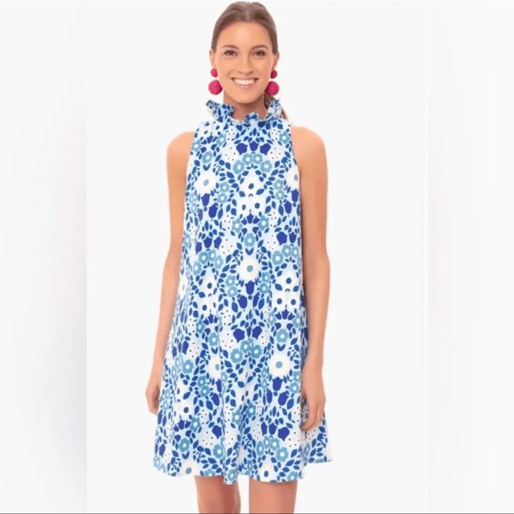 Tuckernuck Blythe Majolica Dress Size S